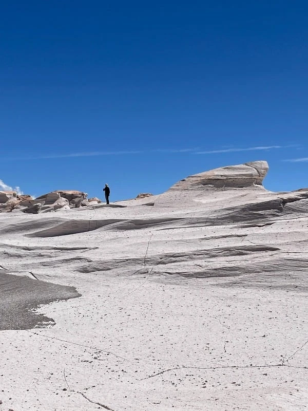 guia argentina campo-de pedra pomez