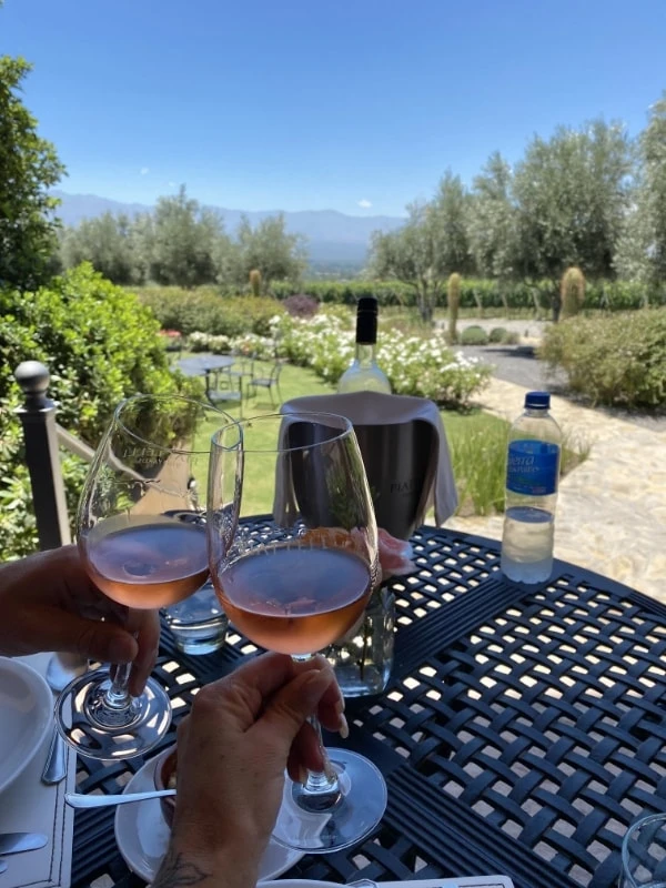 noroeste argentino vinicolas